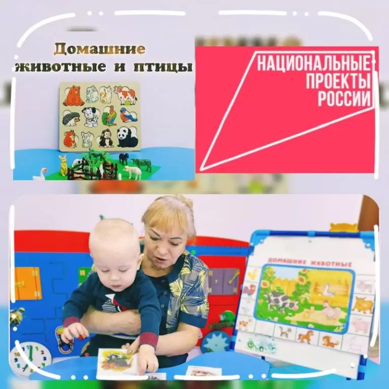Занятие "Домашние животные и птицы"